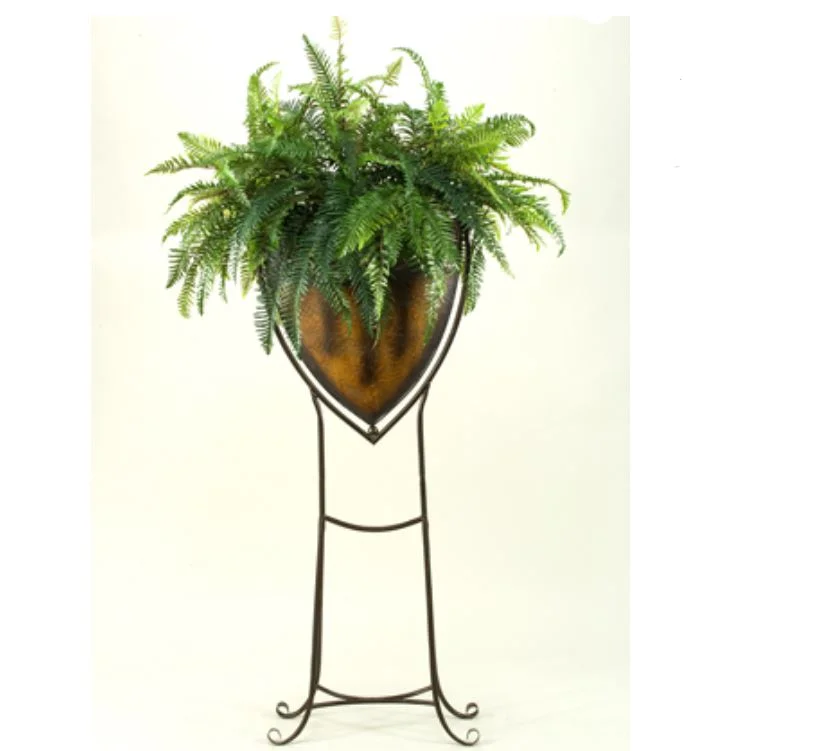 river fern in stand.JPG