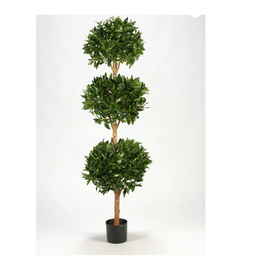 triple topiary.JPG