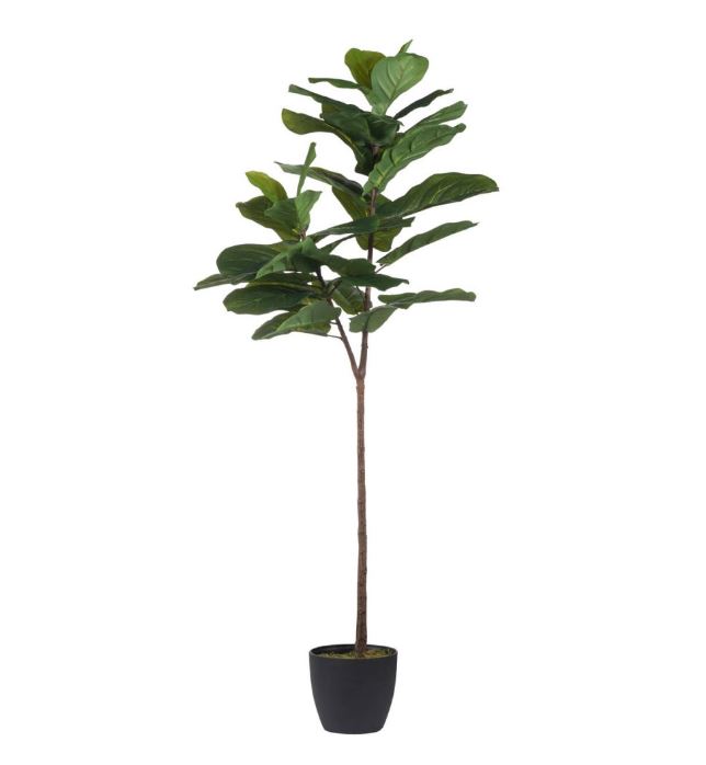 59" Fiddle Leaf Tree