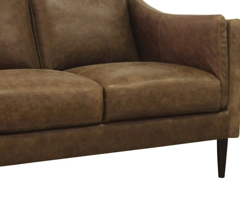 ava sofa close up.JPG