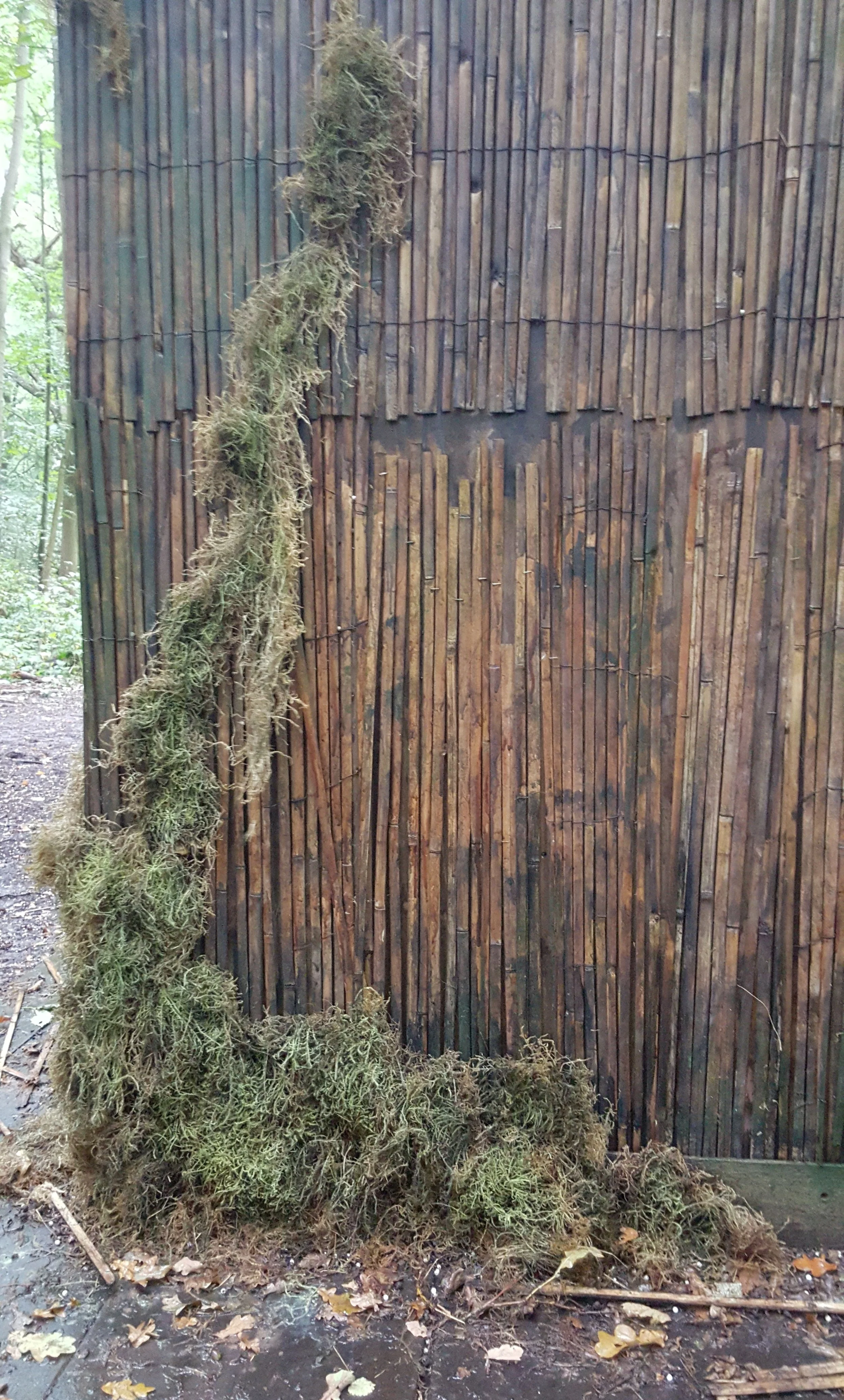 20150921_153207.jpg
