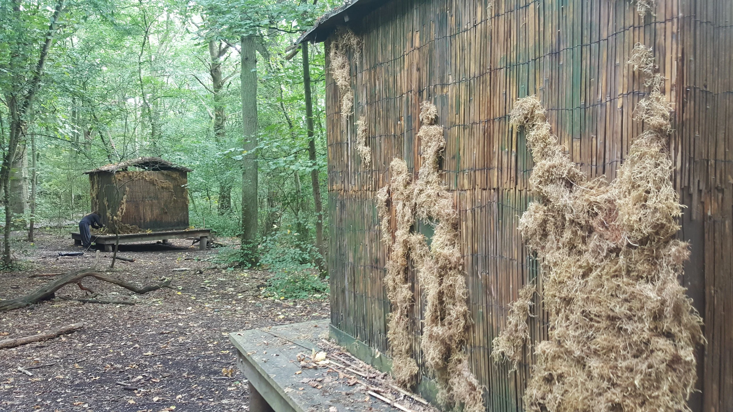 20150921_115405.jpg
