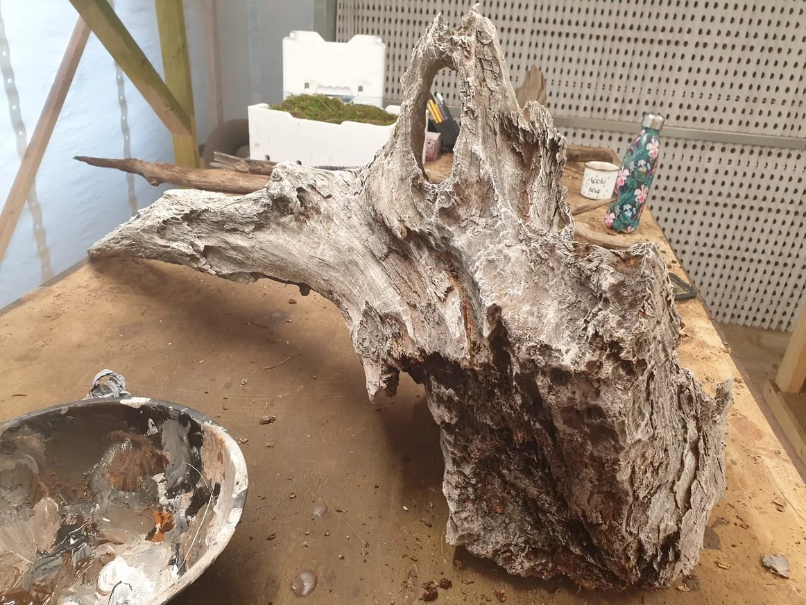 20201009_124112.jpg