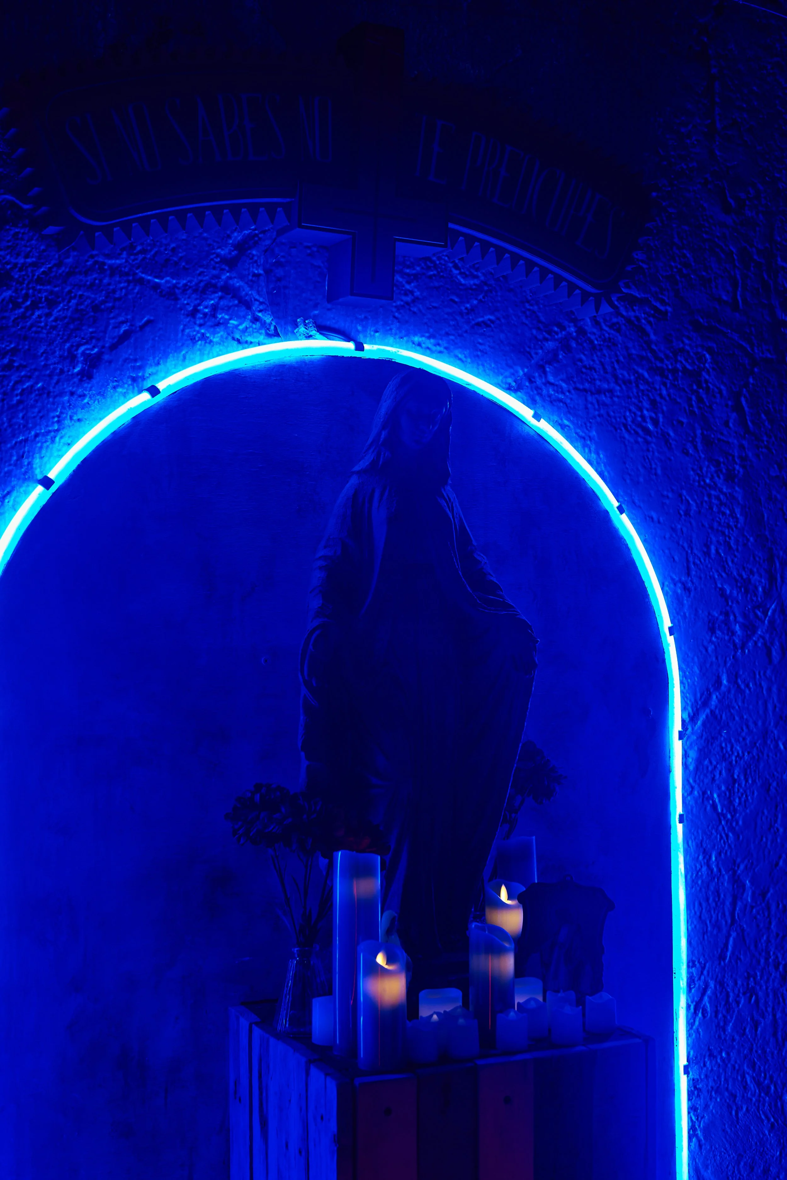 EV-CirqueLeSoir-31Oct22-DSC_9502-GB.jpg