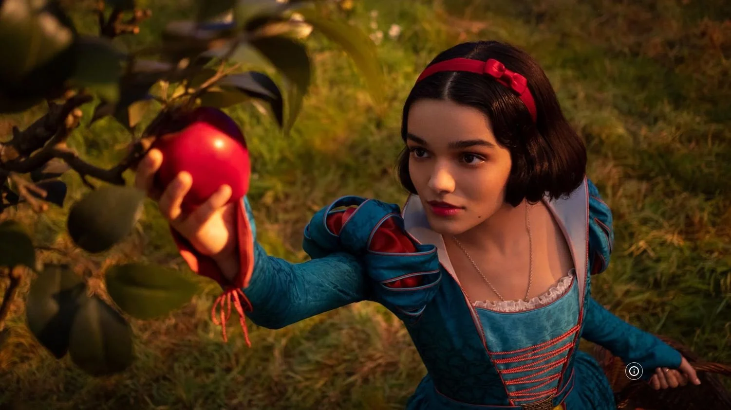 apple tree2.JPG
