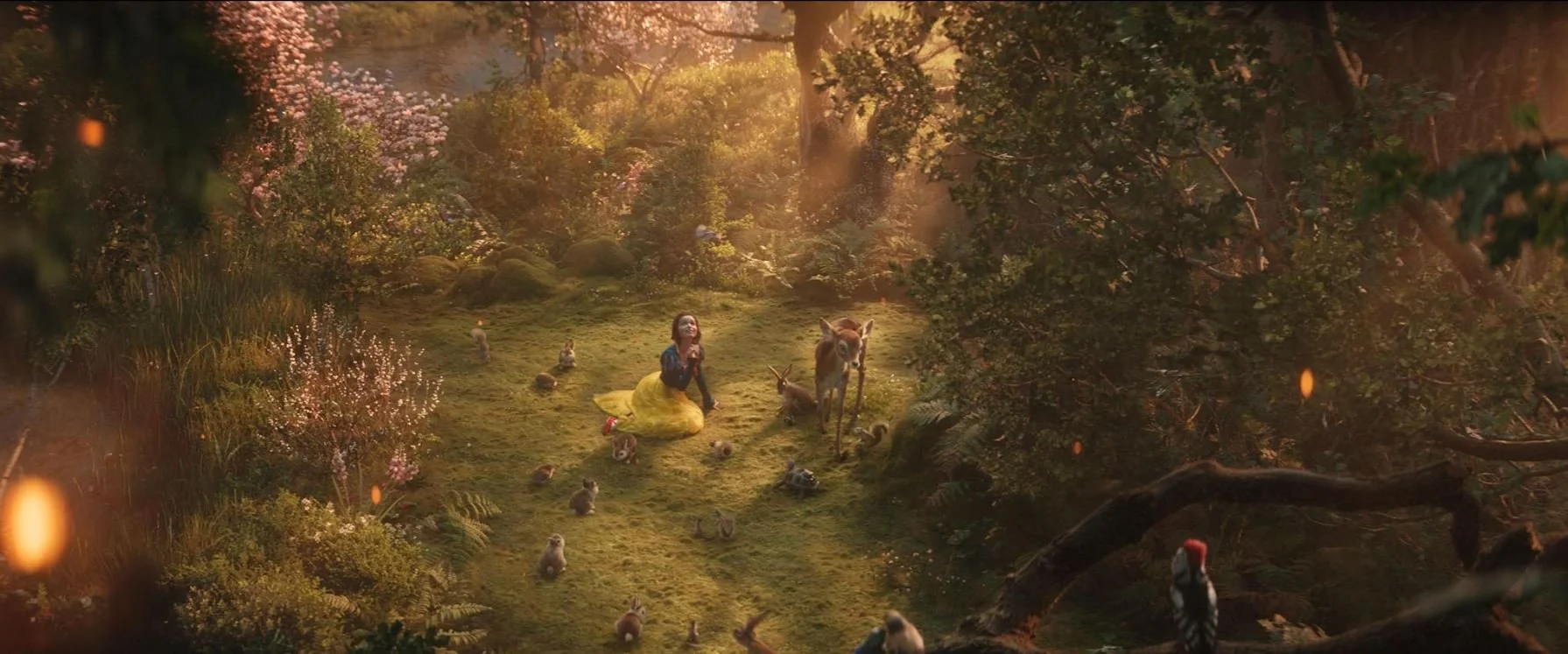 woodland.JPG