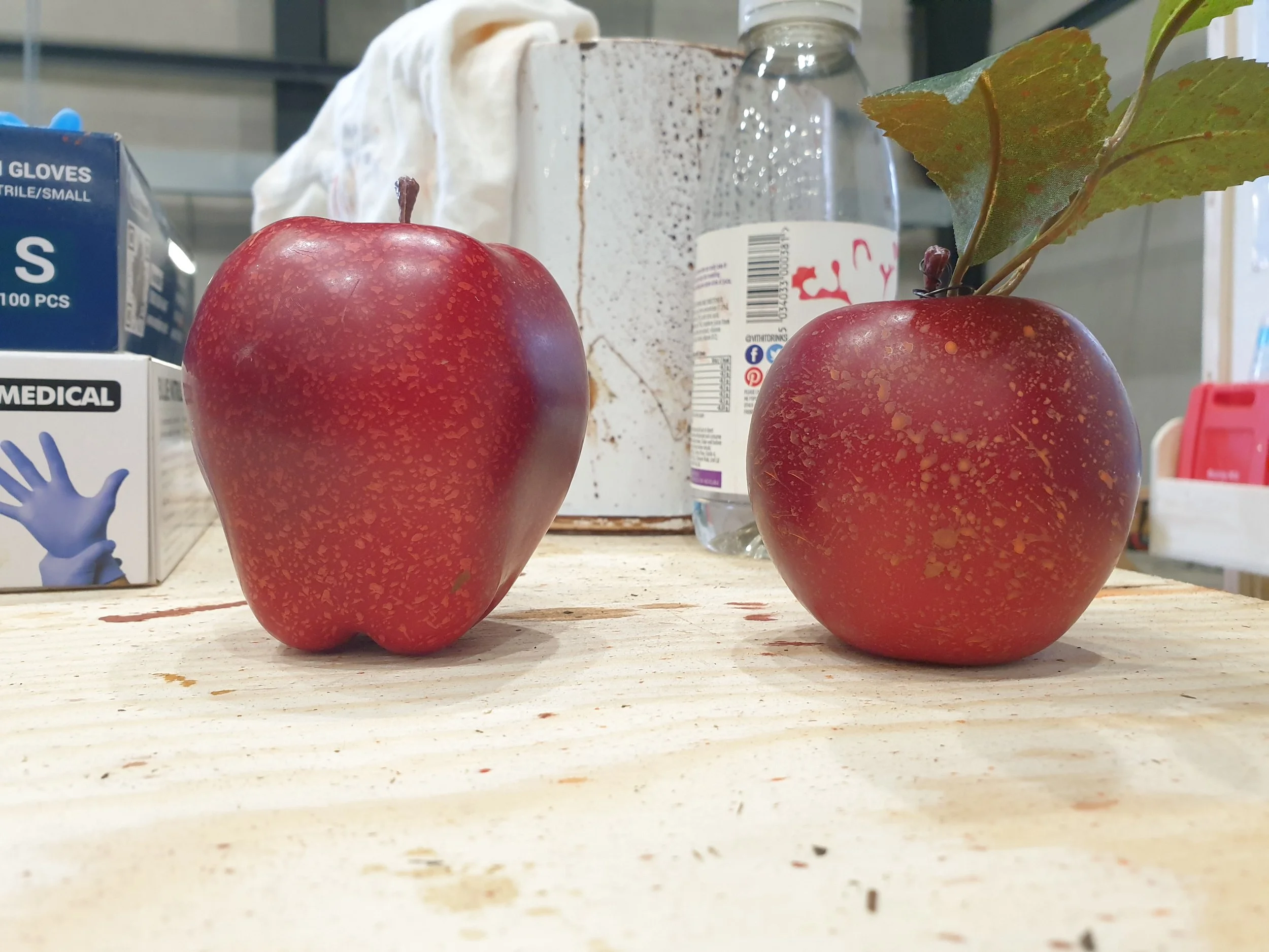 20220405_113614.jpg