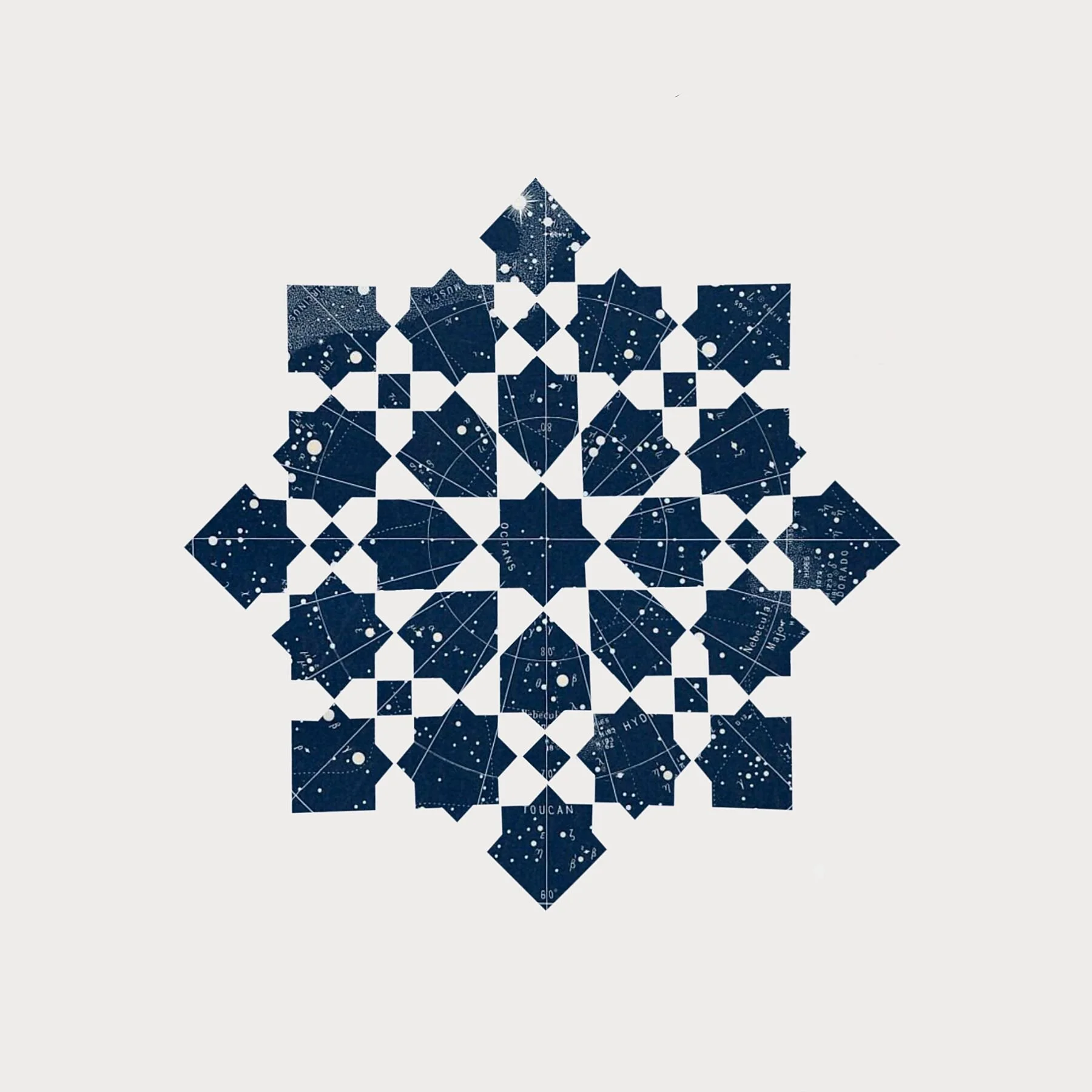 6231406.jpg