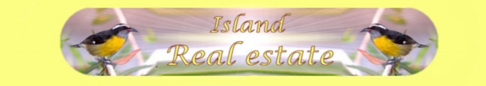 Island Real Estate