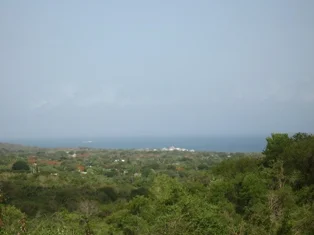 $480,000 // Destino, Titled // BERL-3T