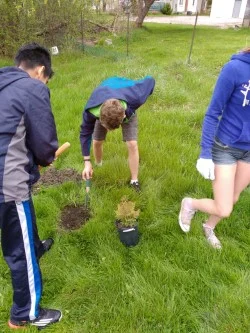 thumbnail_Serving - Tree Planting IMG_20170429_110445107.jpg