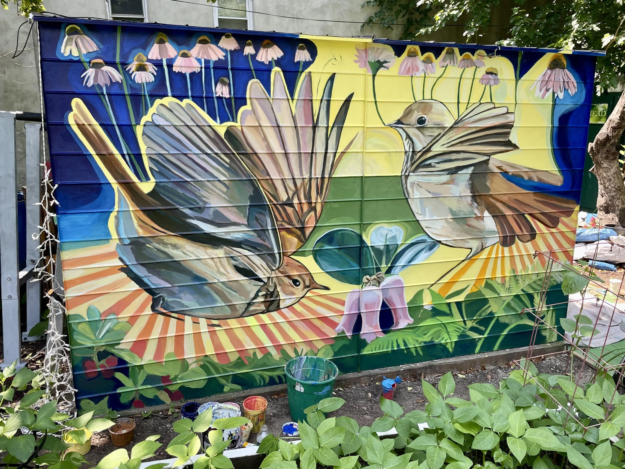    Peace In The Garden, 2025, in progress  Collaboration with the Audubon Society, GreenThumb and   NYC Parks, painted on the shed in the Garden Of Eden in the   Bronx.  