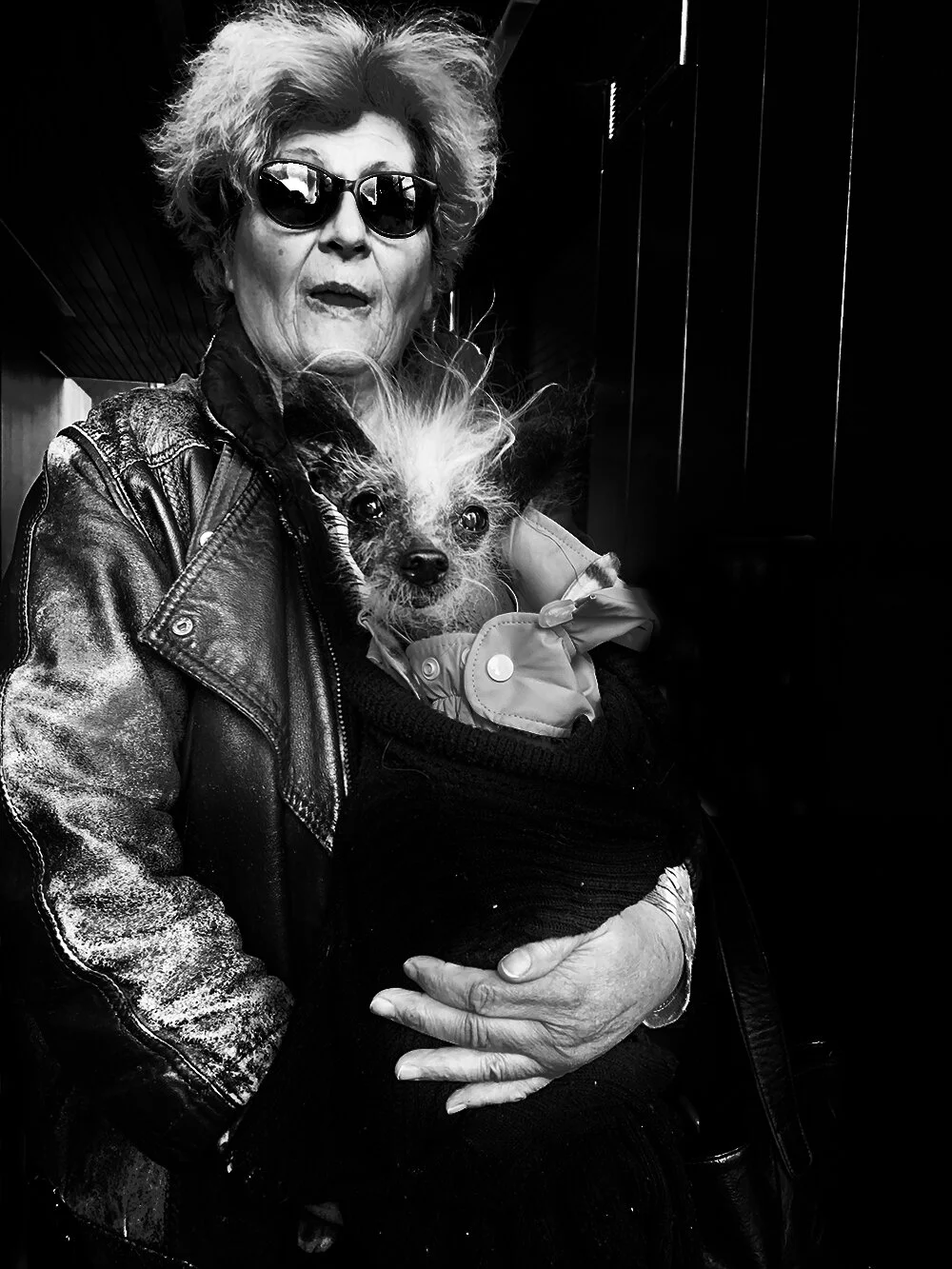 woman with dogsquarespace.jpg
