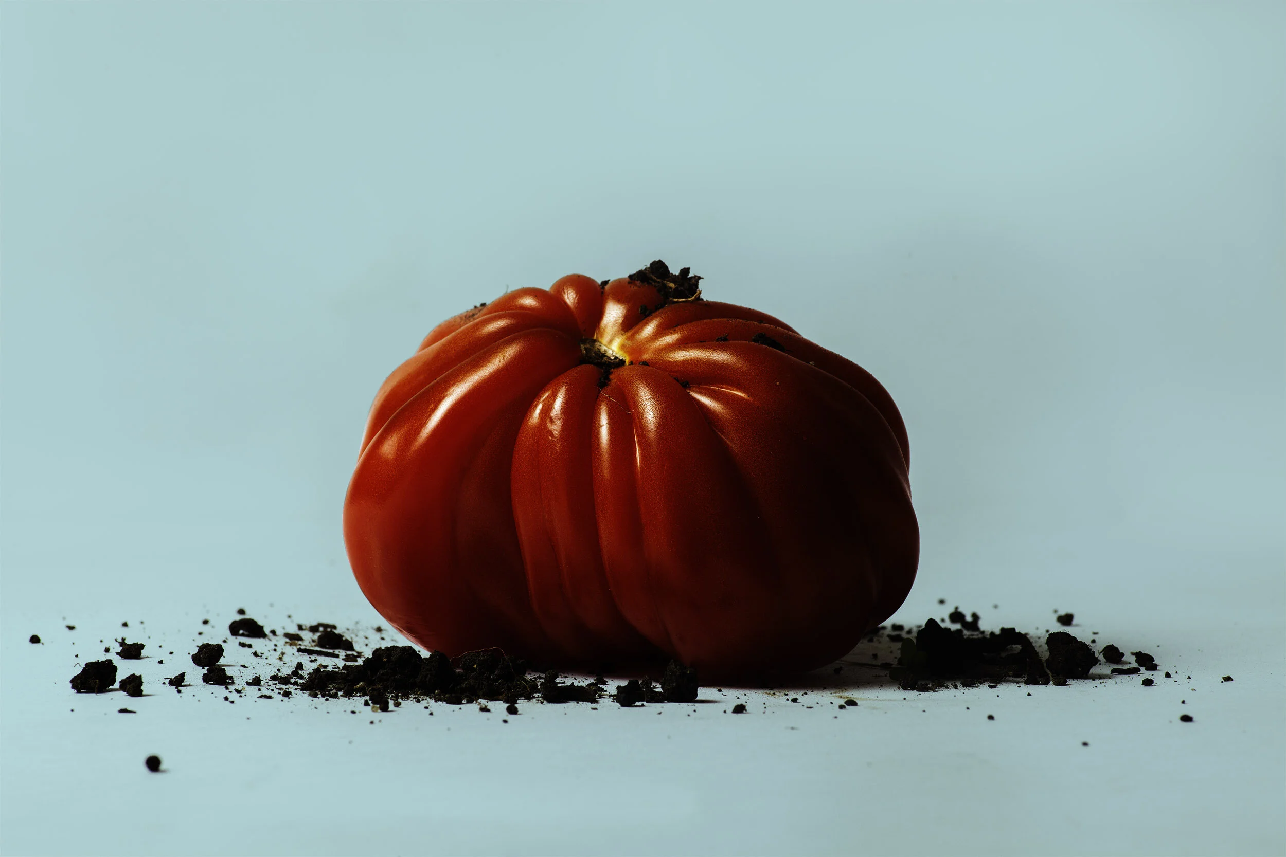 tomatocoloursquarespace.jpg