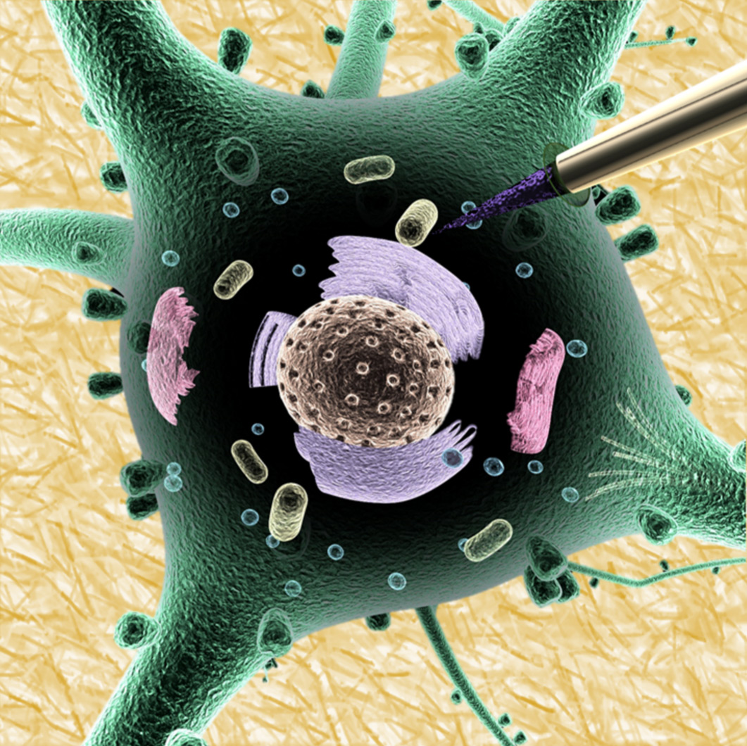 intracellular-electrochemistry-a.jpg