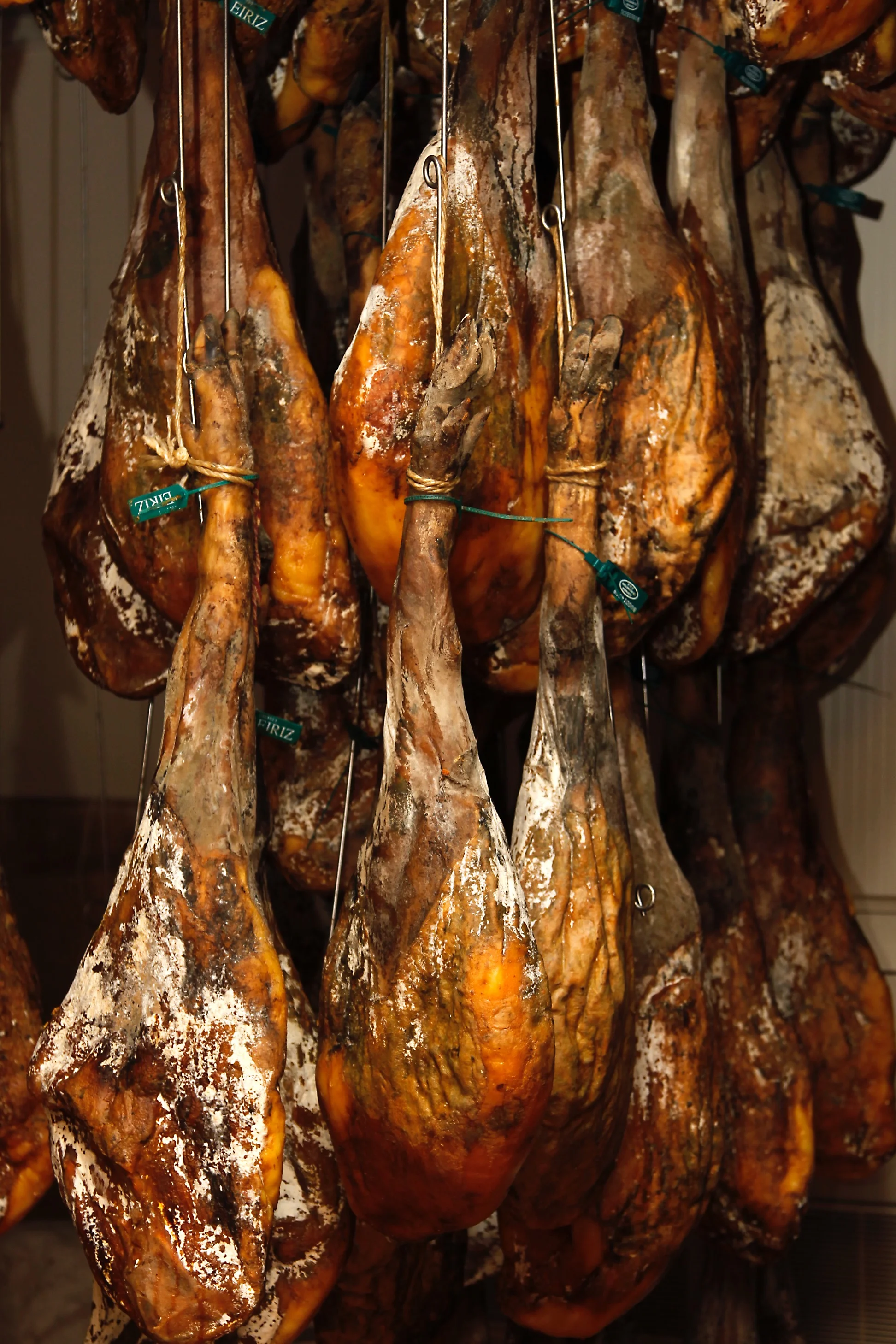 20110608_4380.jpg