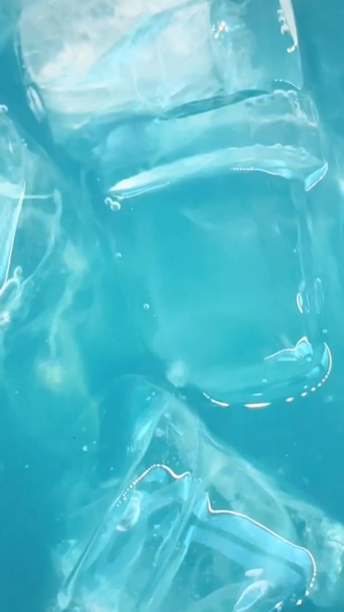 nutbar superfood cafe