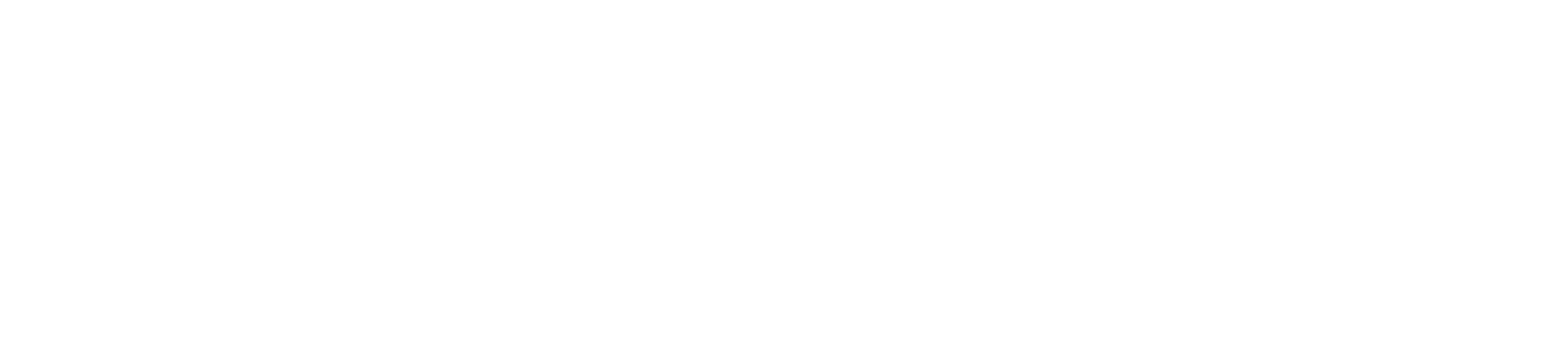 nutbar superfood cafe