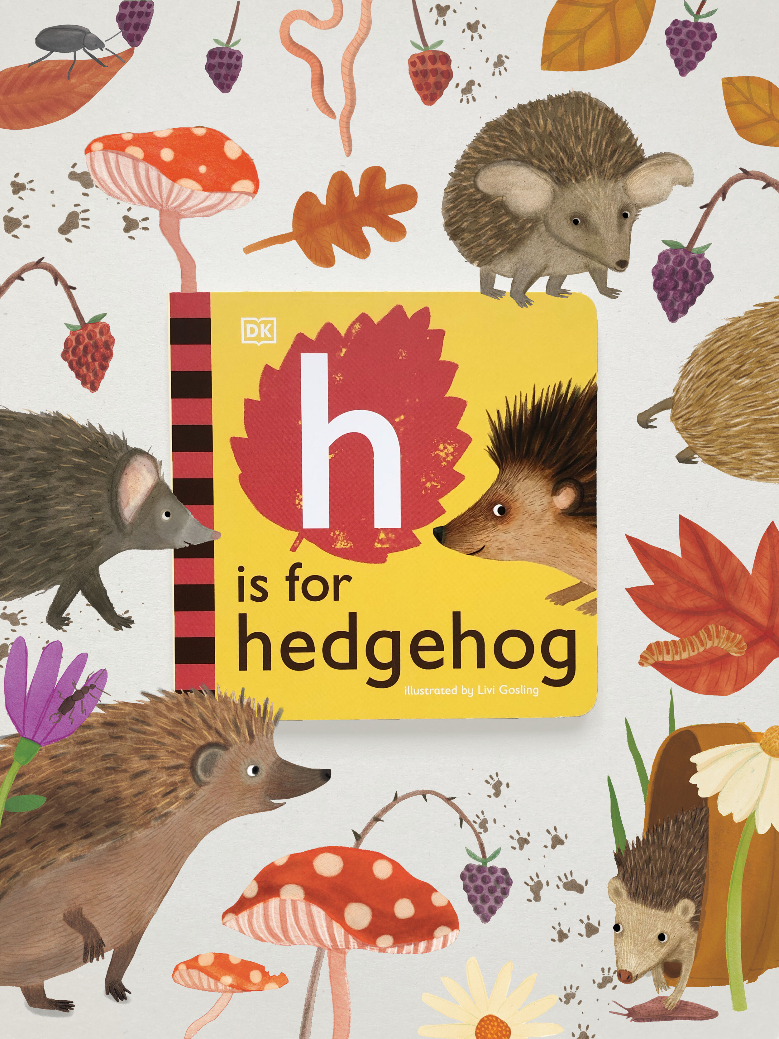 hedgehog low res.jpg