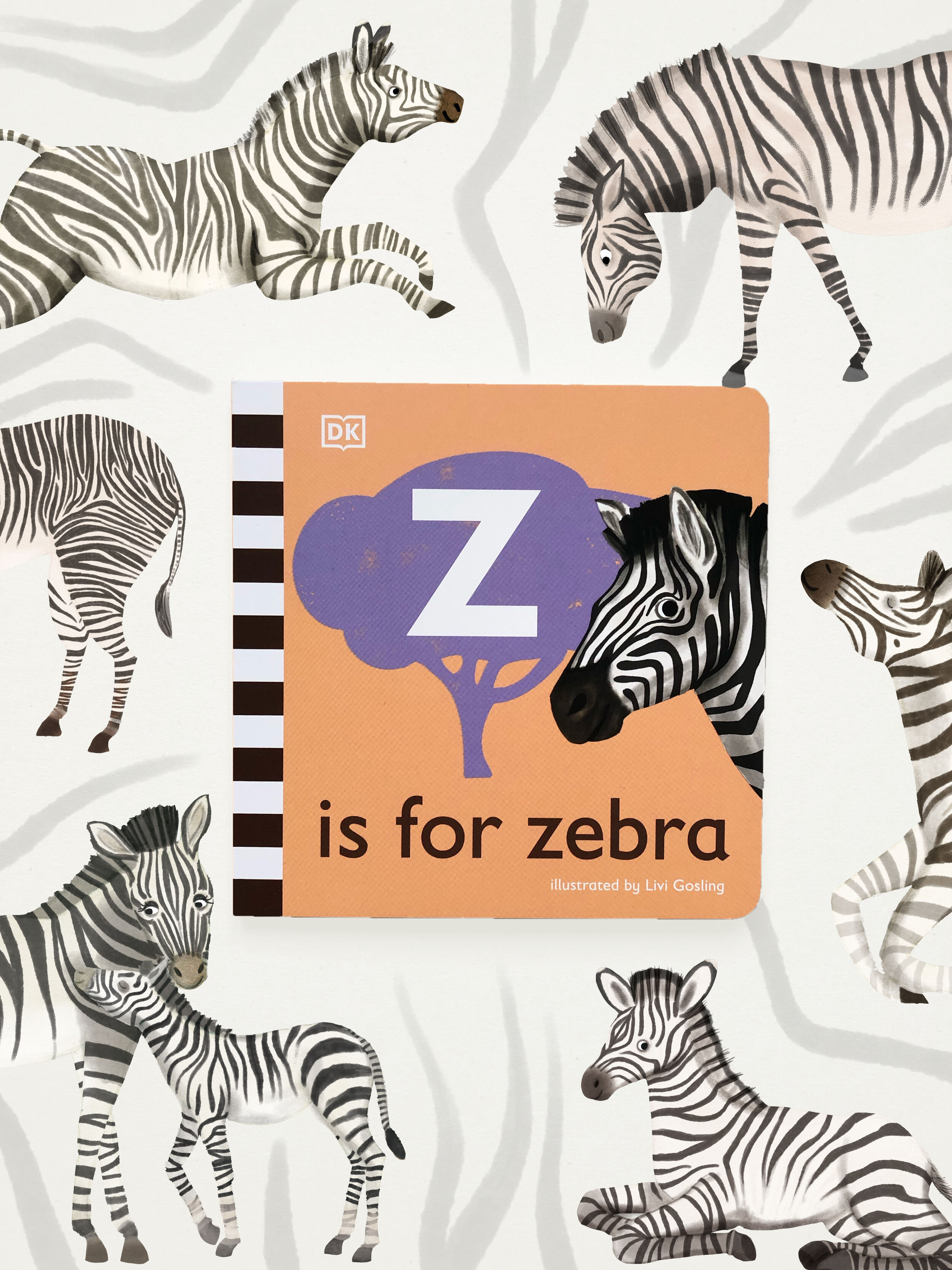 zebra low res.jpg