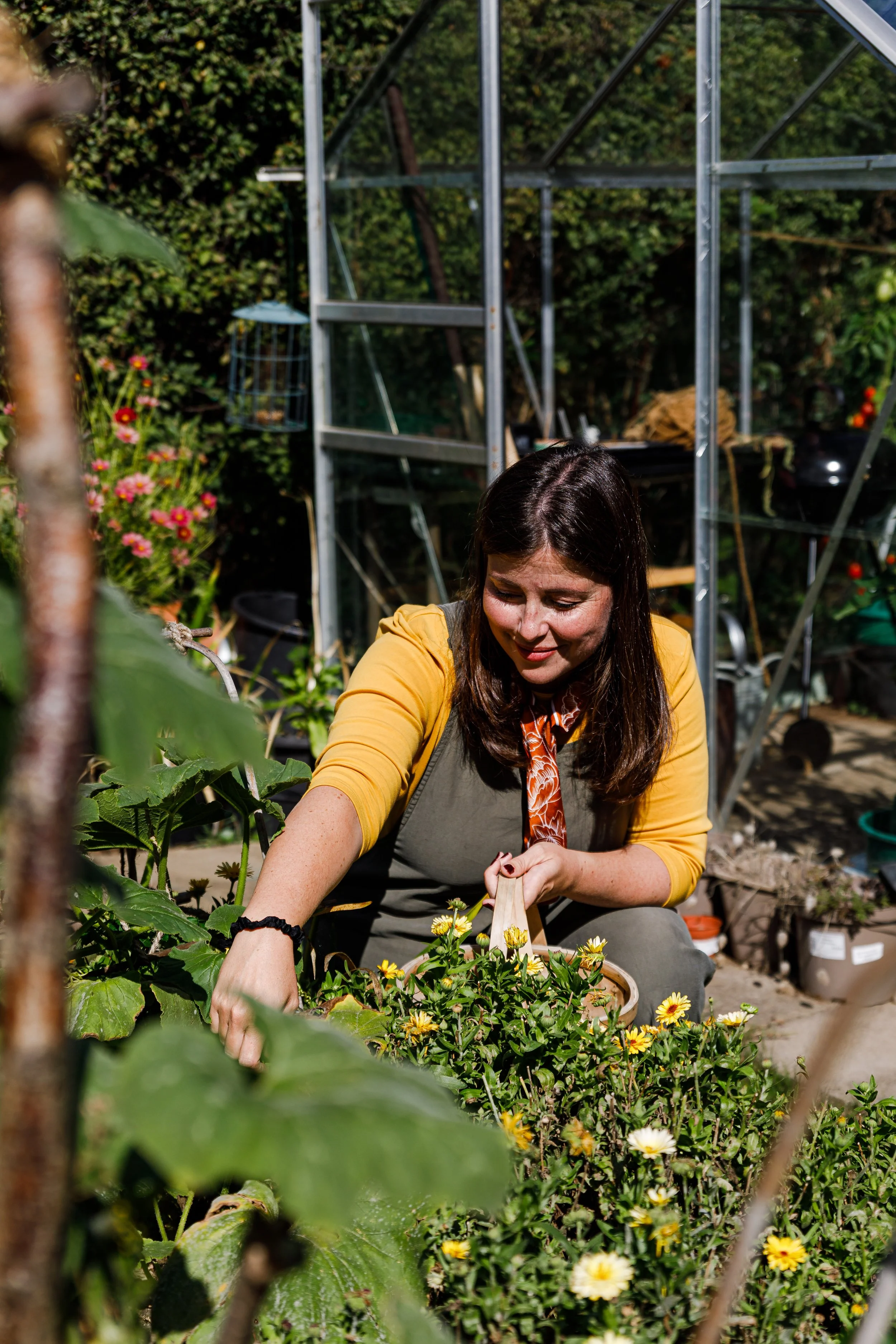 Woman in a yellow cardigan tending to yellow and white flowers in a garden.