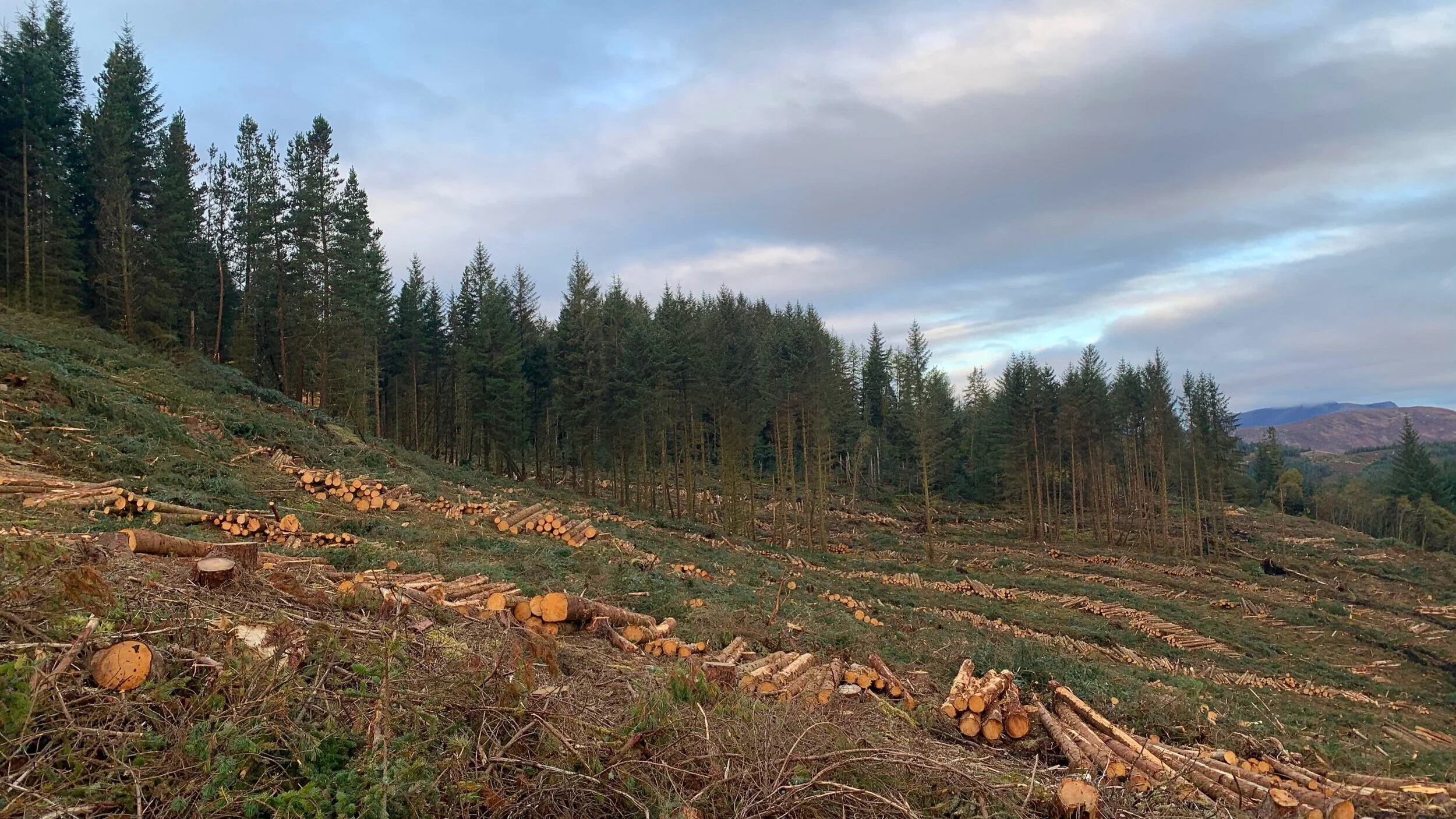 Glen Udalain Area.jpg