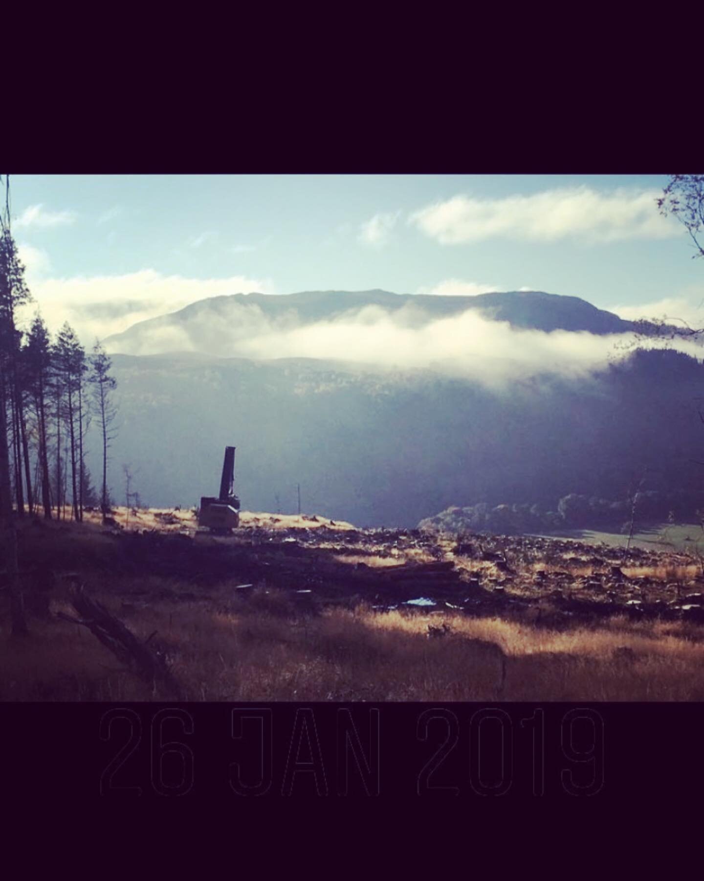 Tigercat heading over the top, nice photo from a Highland Estate @tigercat_machines #harvesting #forestry #scotland #felling #tigercat #timber #highlands #machinery #timberharvesting #timberfelling