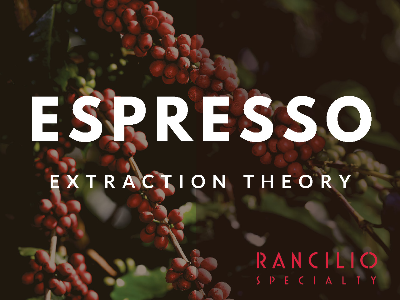 Espresso Theory_Page_01.jpg