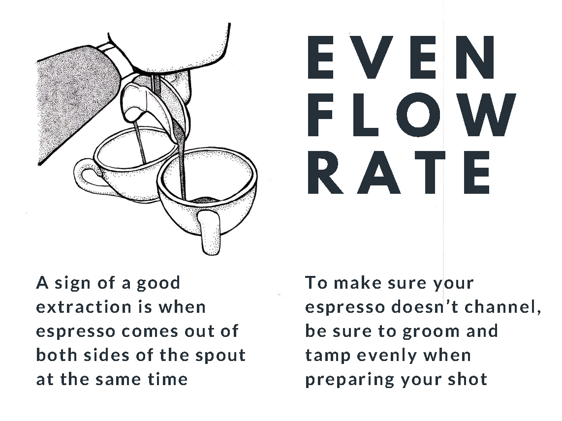 Espresso Theory_Page_07.jpg