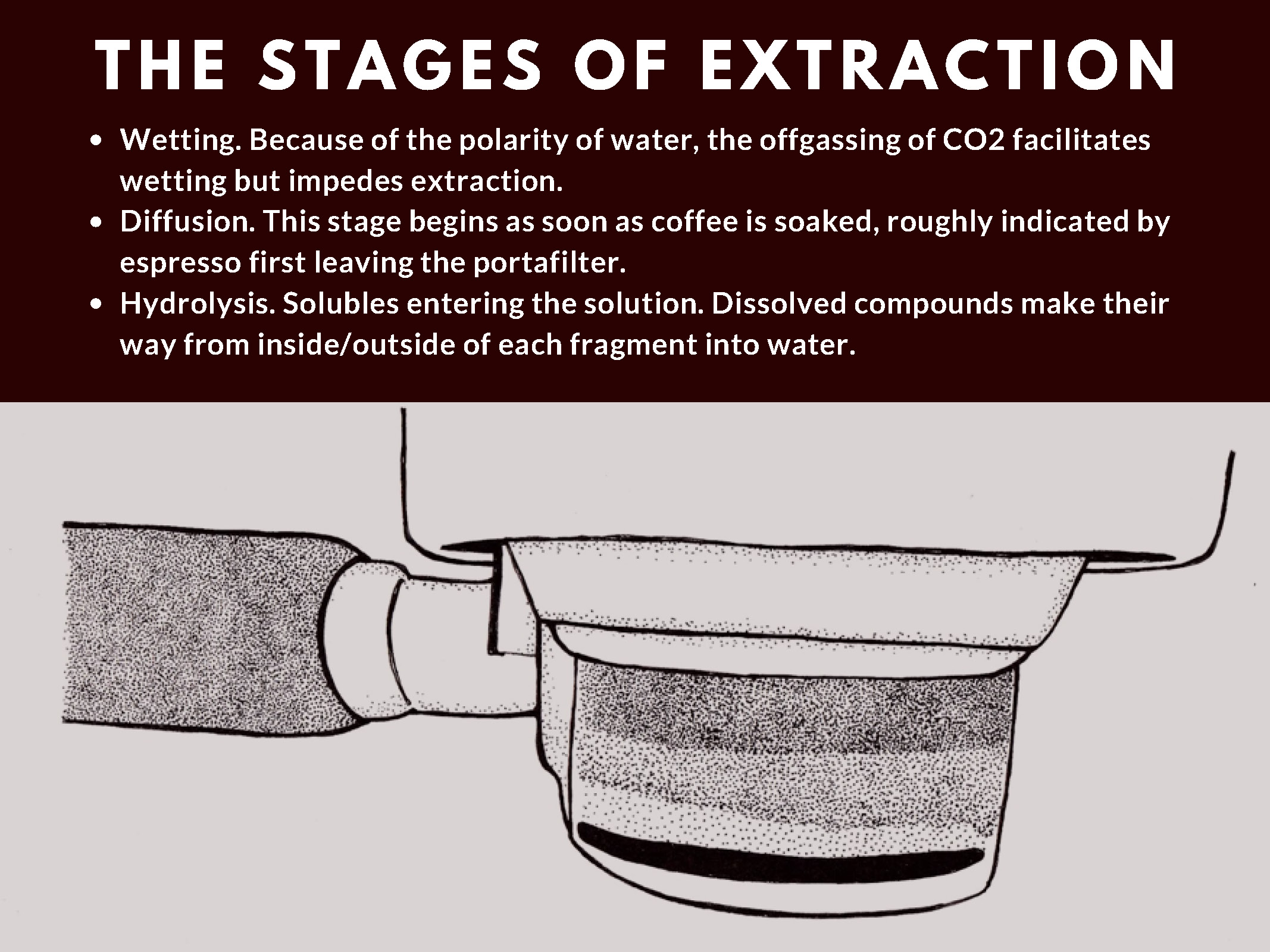 Espresso Theory_Page_14.jpg