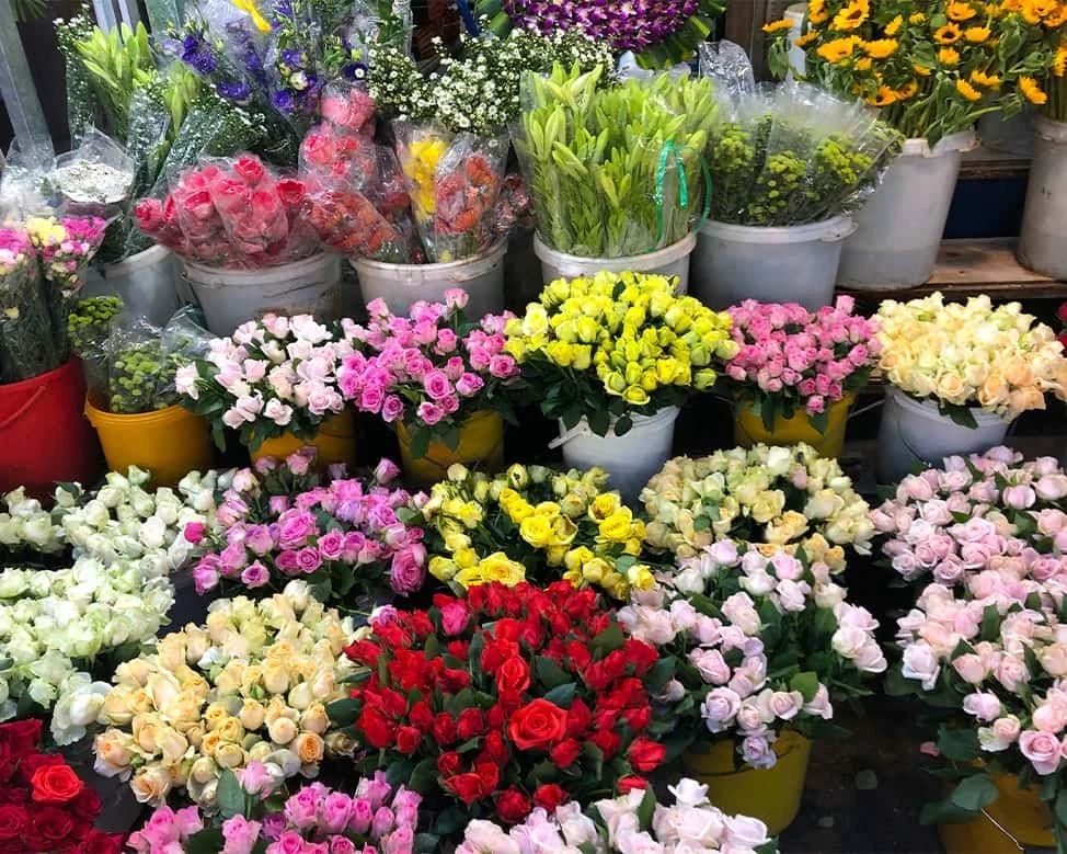 HO THI KY FLOWER MARKET FRESH FLOWER PARADISE FASCINATES VISITORS