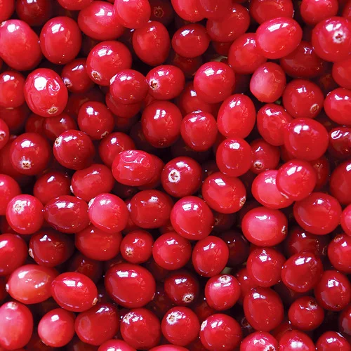 Cranberry Relish