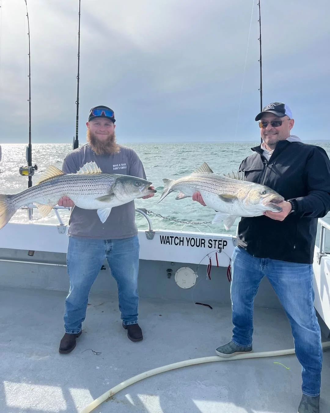Beat them up really good this afternoon! Had our limit of slot fish and a pile of overs to 25#s. Seeing lots of lice on the bigger fish, a good sign they are still rolling on in!  #supportlocal #charterfishing #striper #Connecticut