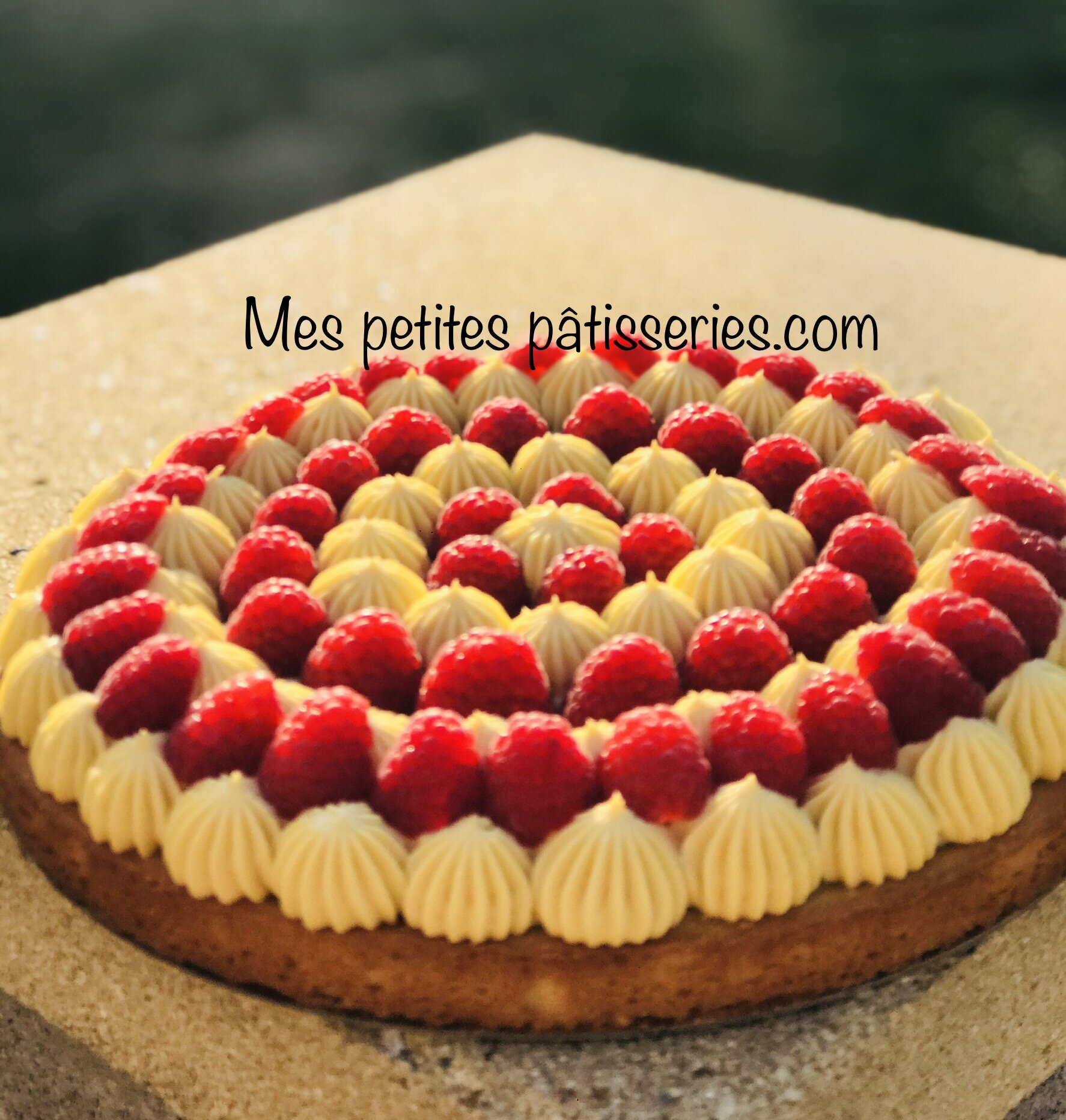 Tarte Mangue Passion (Copy)