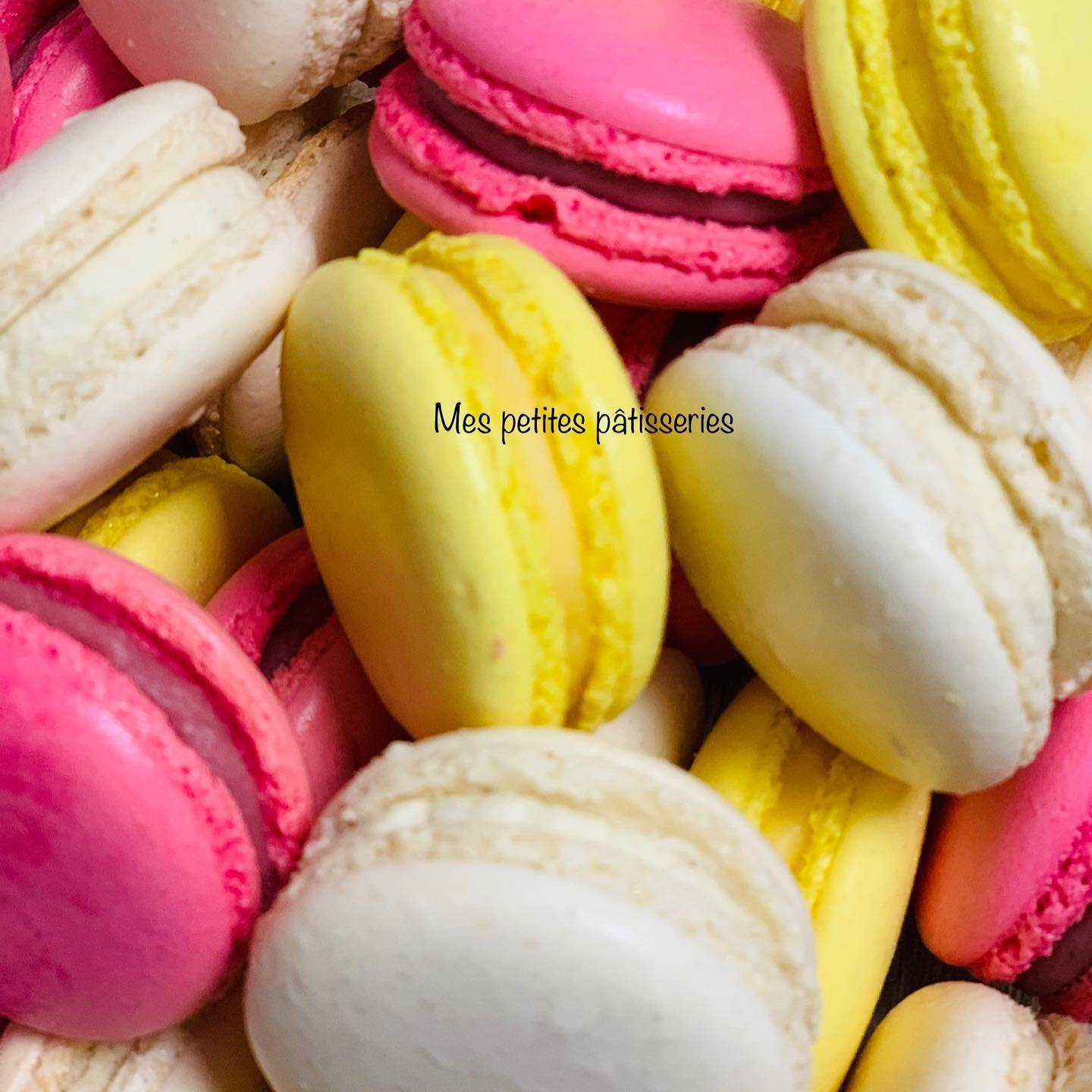 Macaron (Copy)