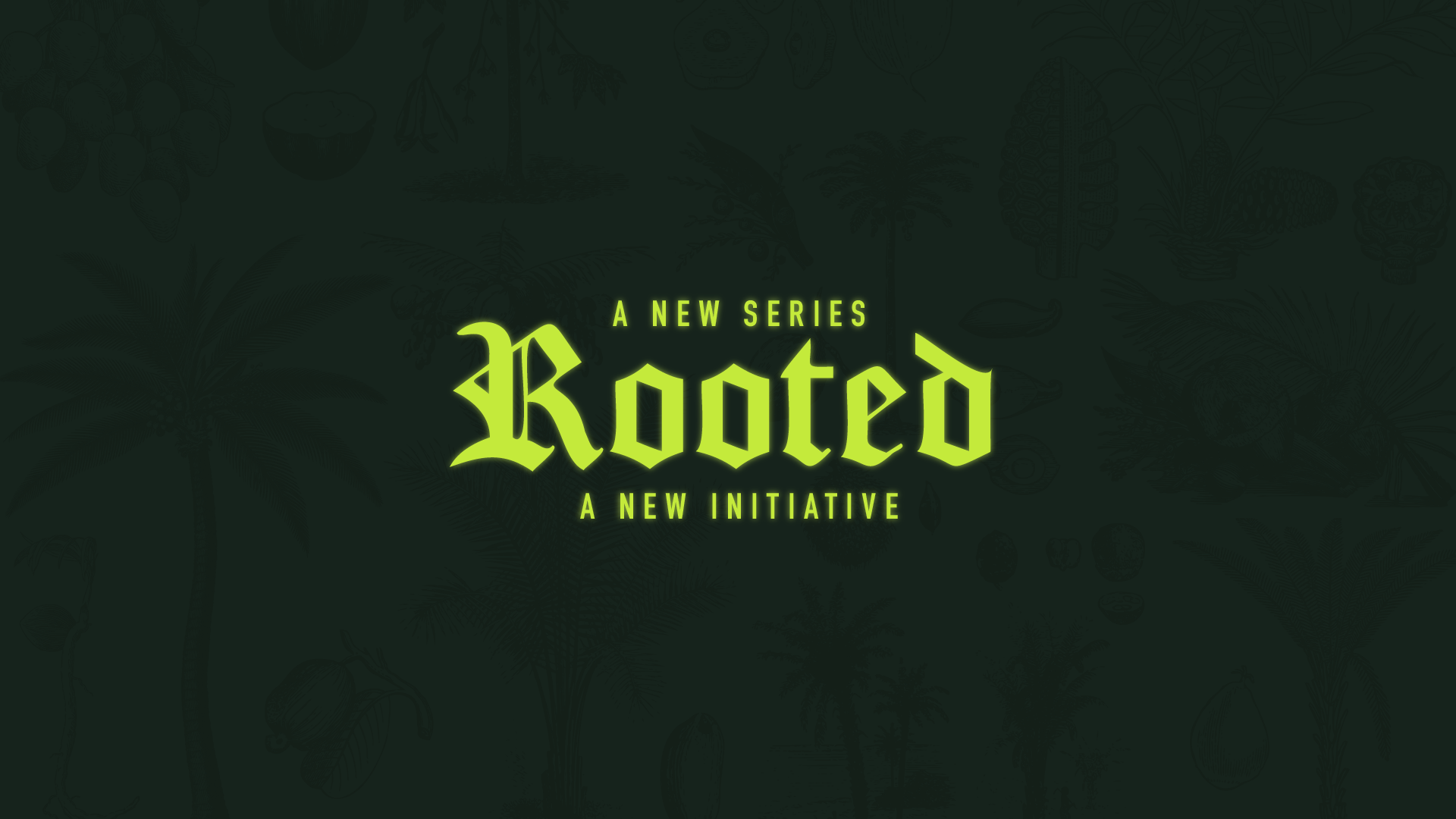 Rooted In Our Identity In God