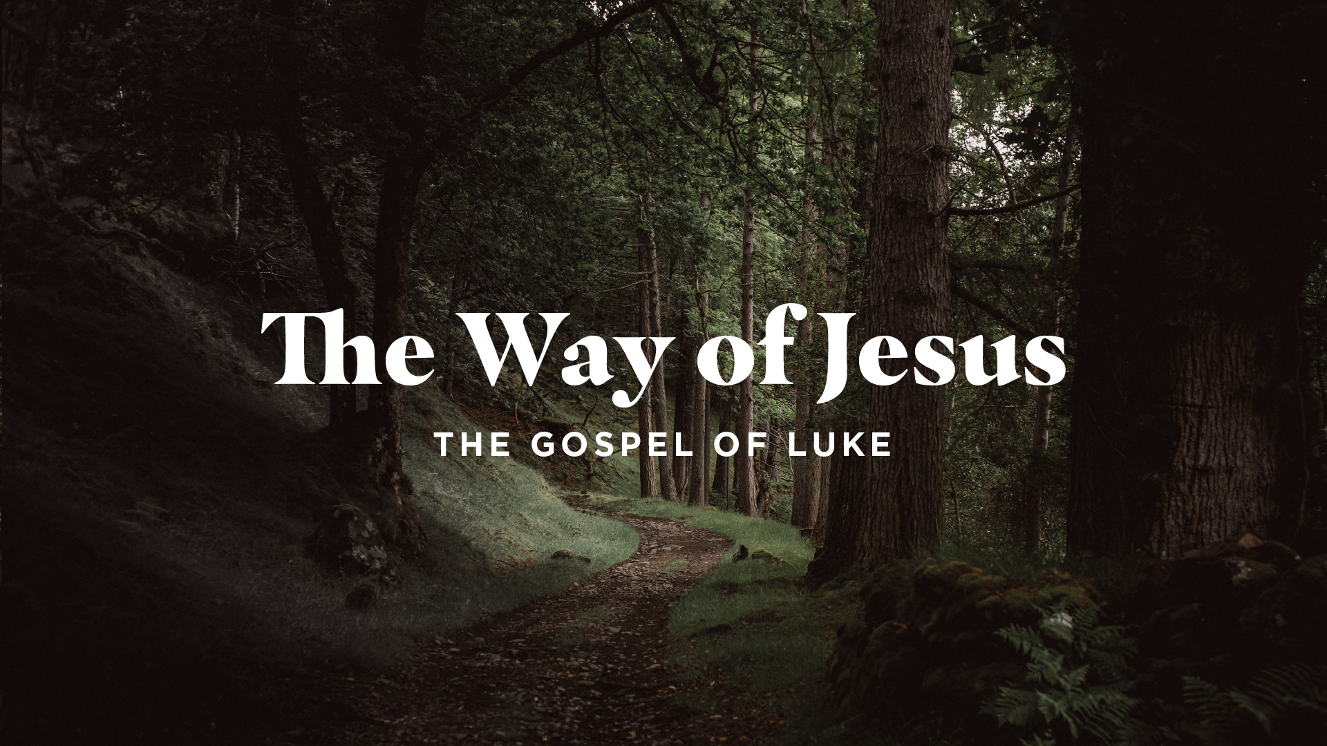 Who Has Authority In Your Life? / The Way of Jesus / May 15, 2022