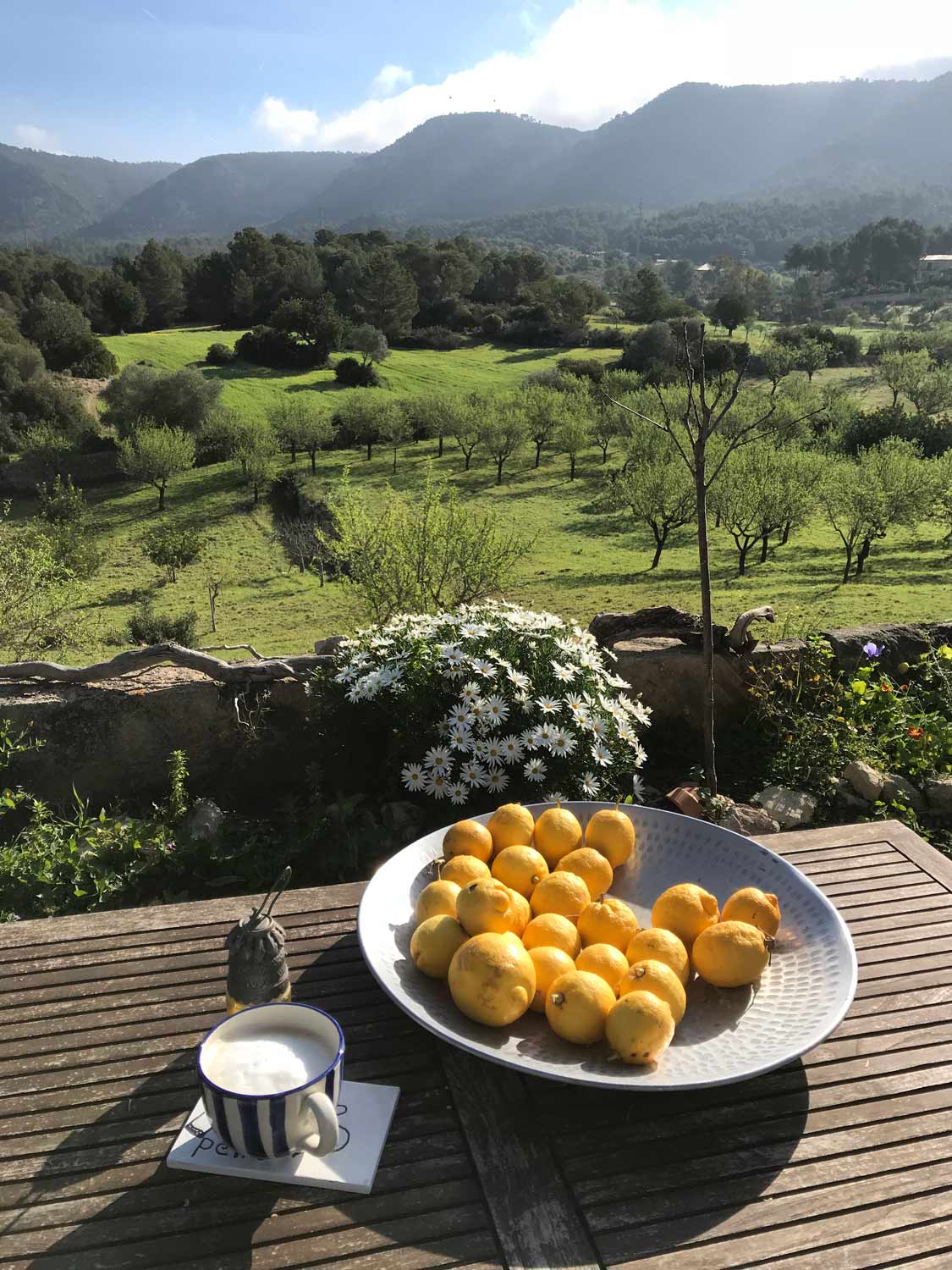 Ausblick von unserer Terasse