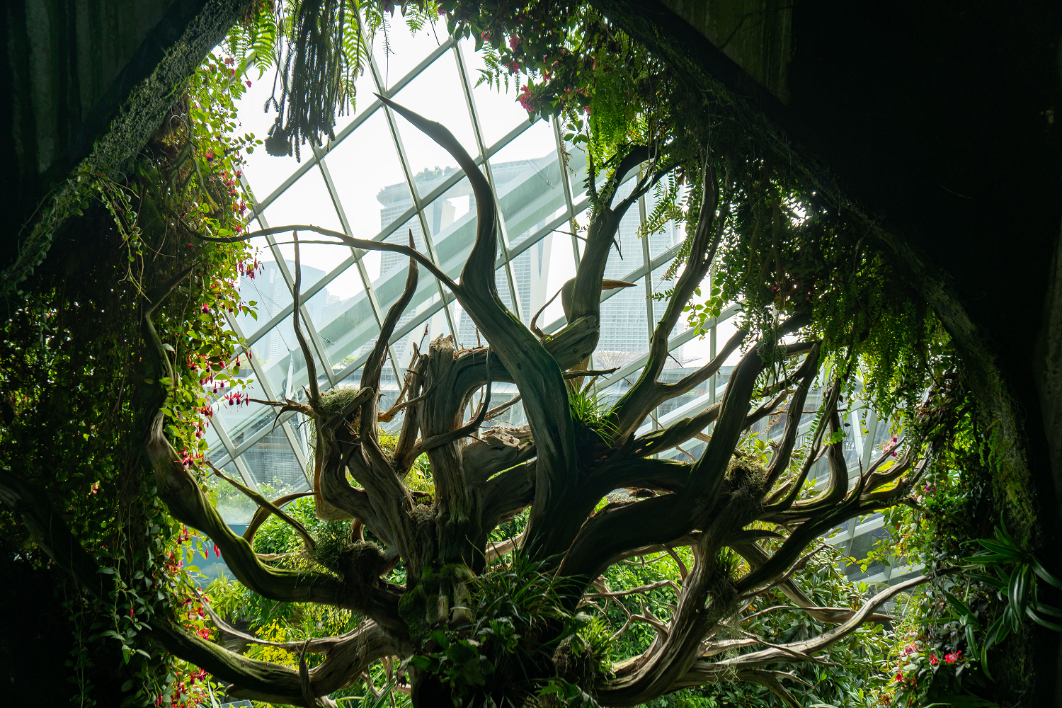 Singapore