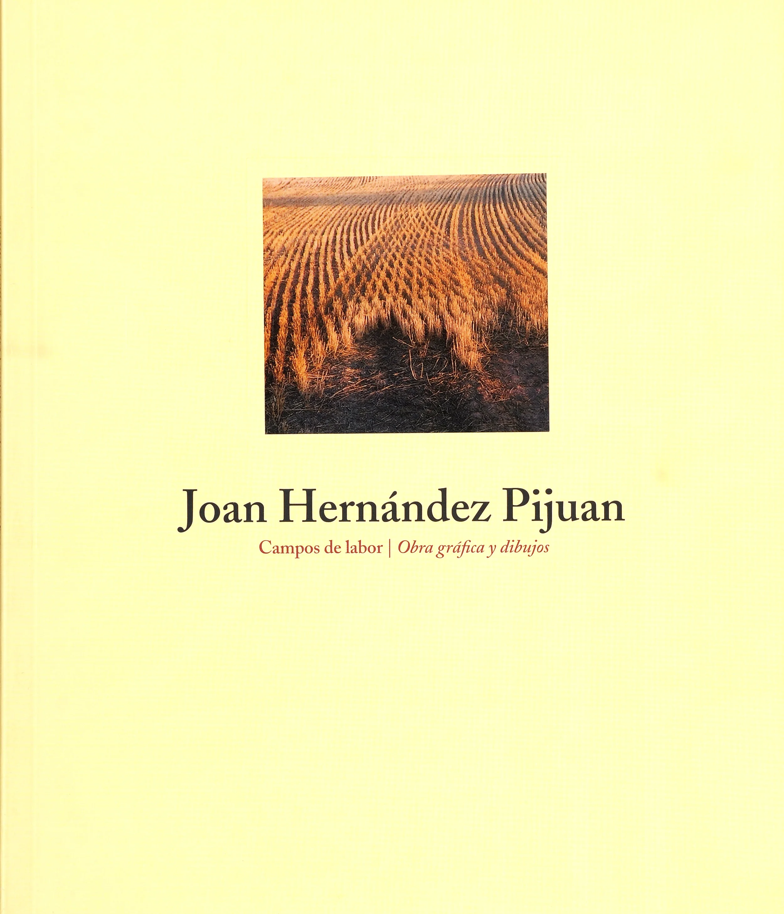 JOAN HERNÁNDEZ PIJUAN, Campos de Labor
