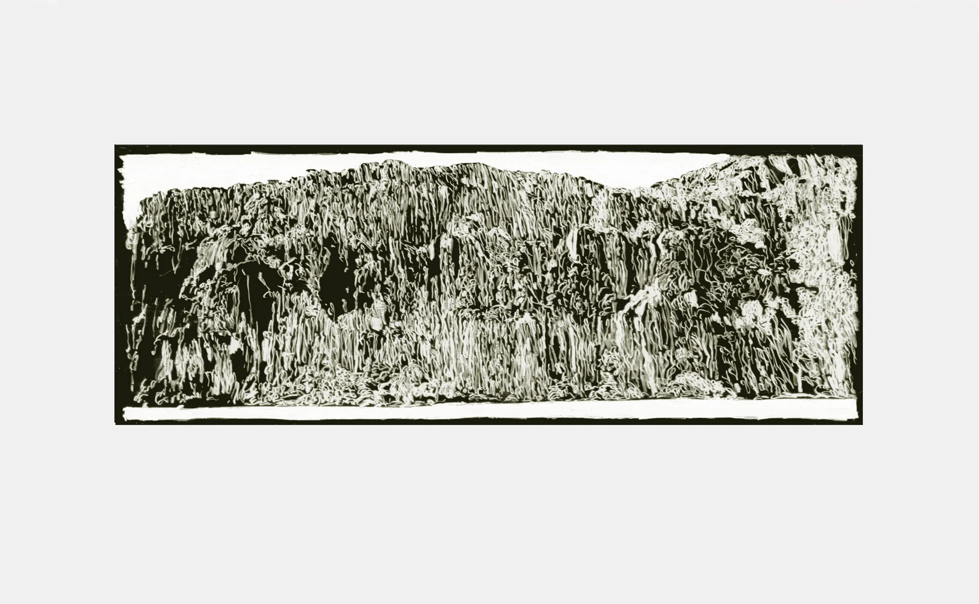 Isla Espíritu Santo 2. I, 2013