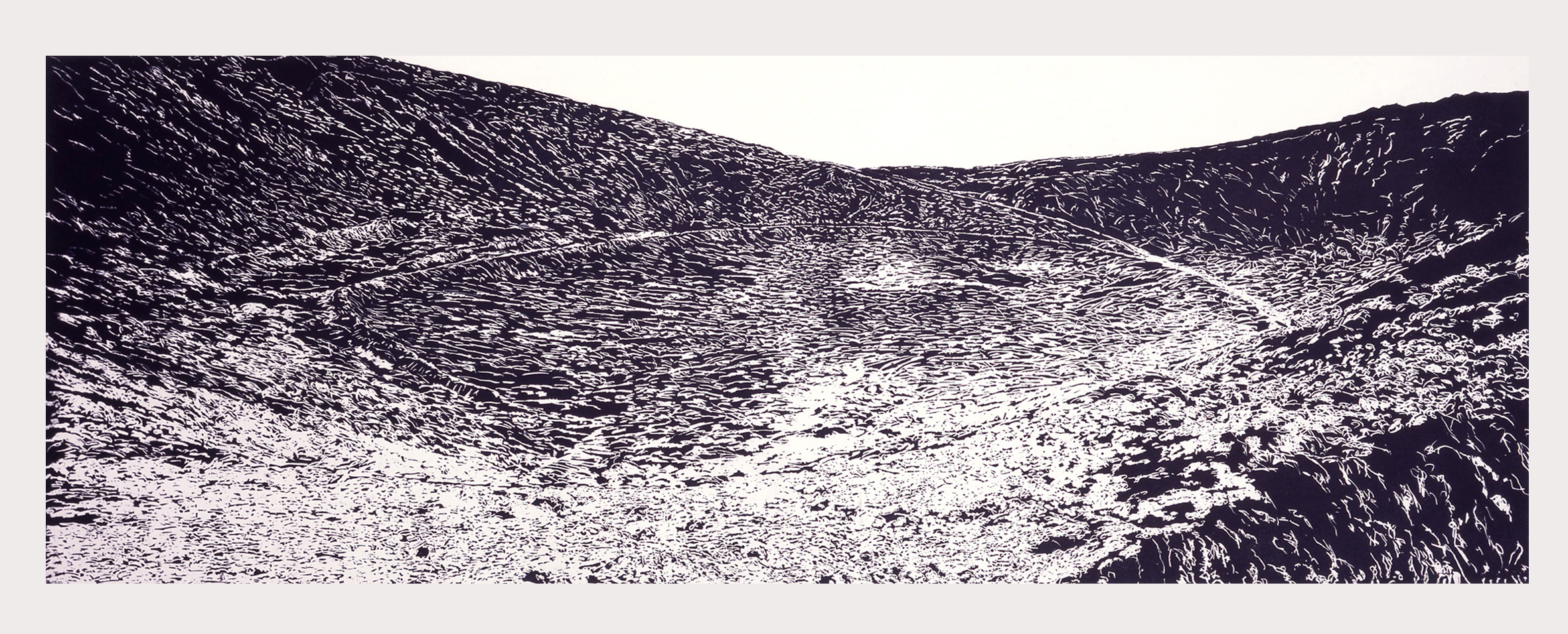 Malpaís 21, 2007