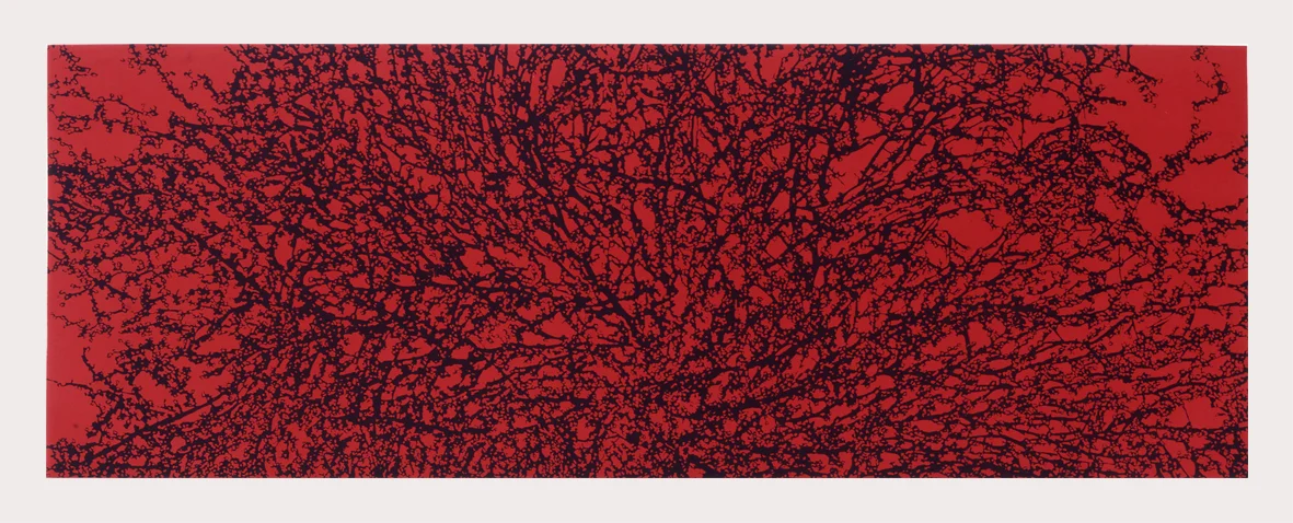 Lanzarote 1, 2007