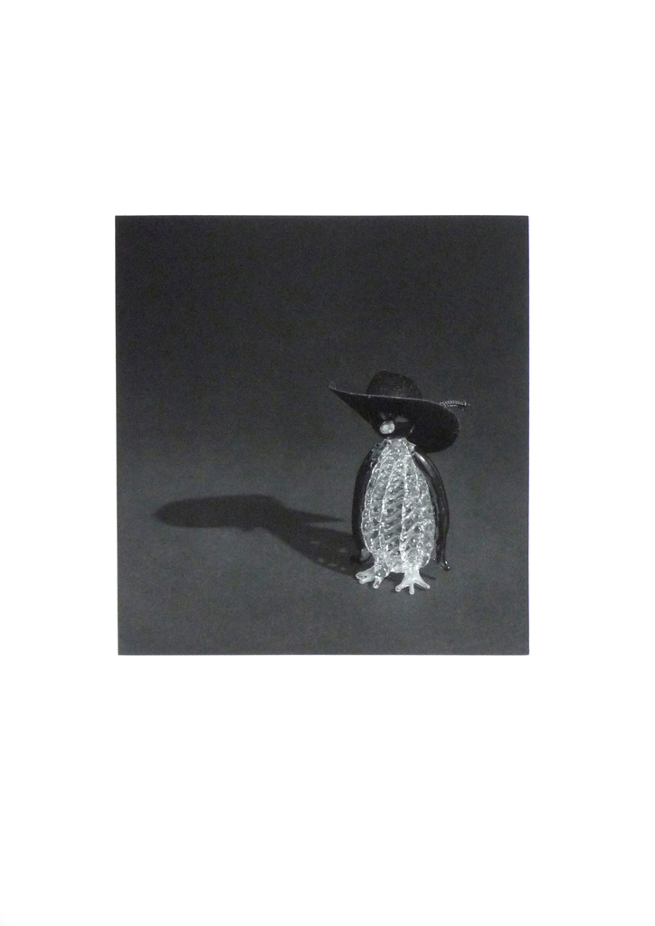 Pingüino con sombrero negro, 2009