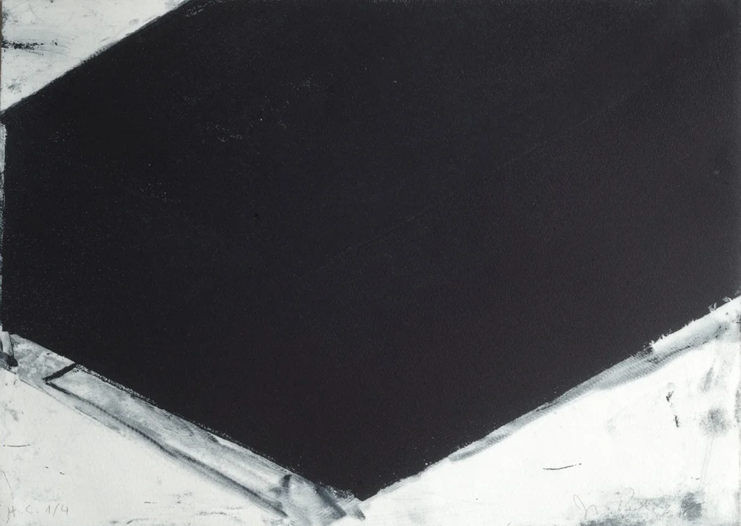 Sin título, 2010