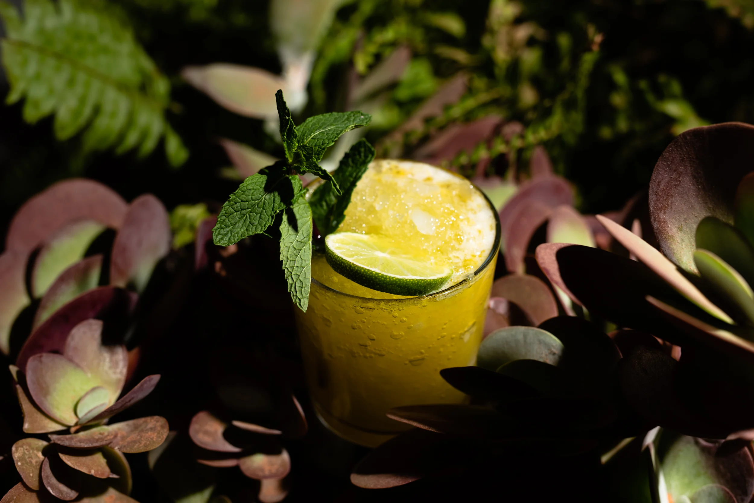 David_Benthal_Photography_Barrow_Food_House (5 of 16).jpg