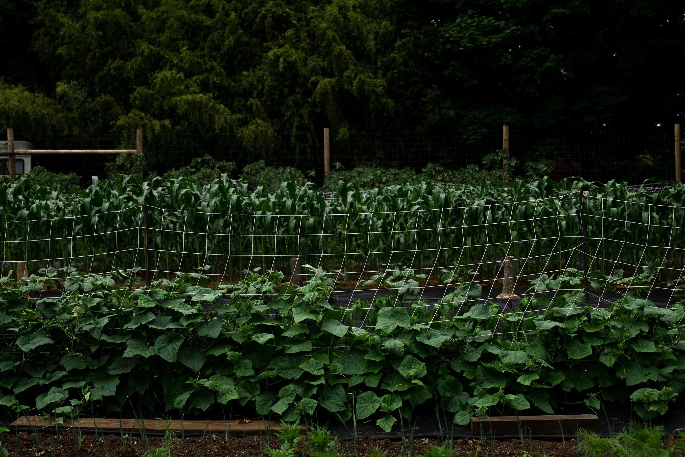 Barrow_Food_House_North_Fork_Long_Island (14 of 22).jpg