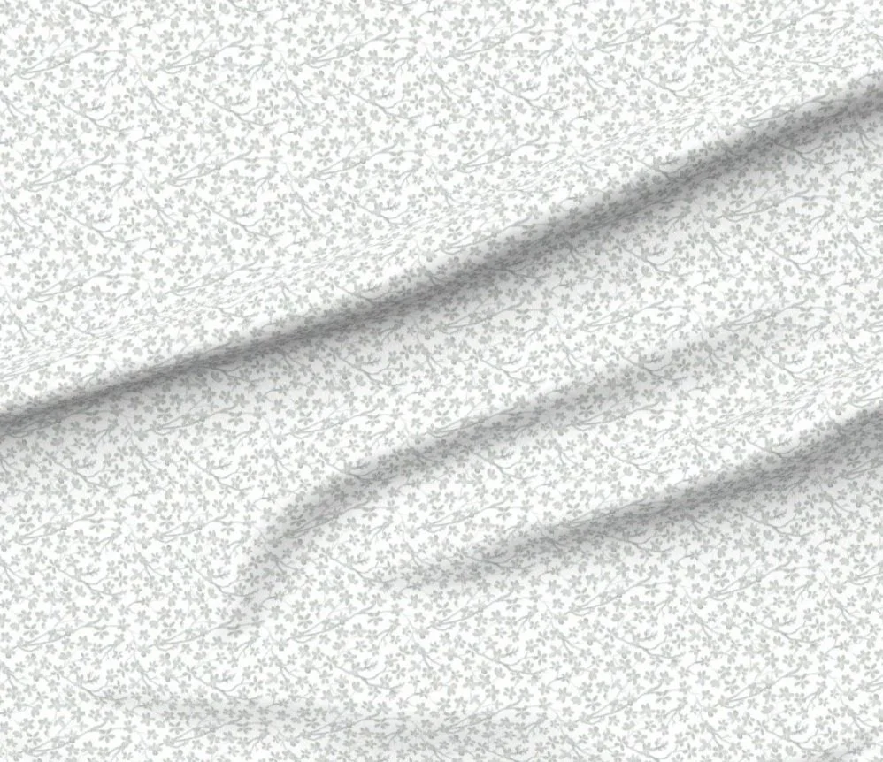 23273033.jpg