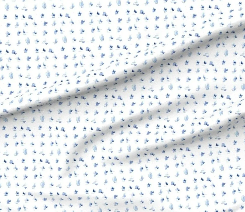 16859570.jpg