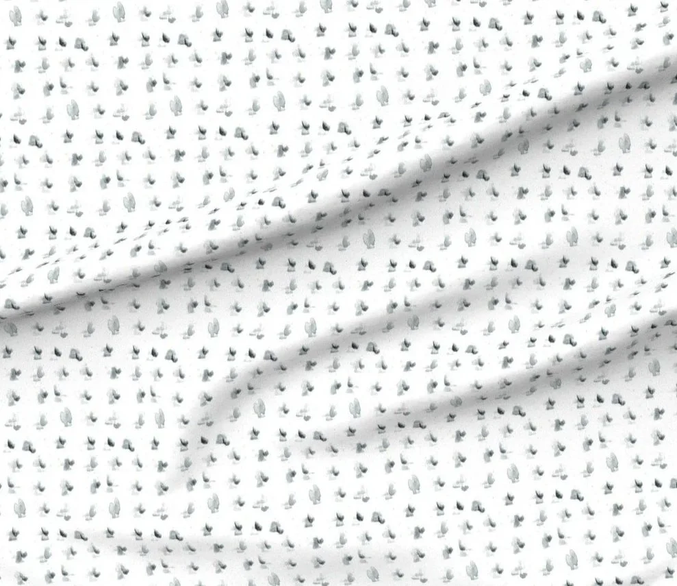 23317700.jpg